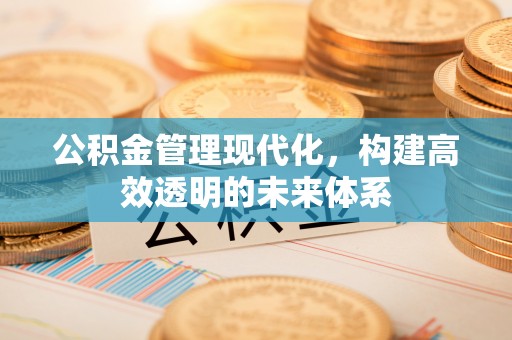 宁河公积金管理现代化，构建高效透明的未来体系