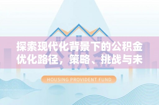 宁河探索现代化背景下的公积金优化路径，策略、挑战与未来展望