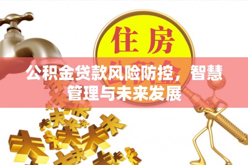 宁河公积金贷款风险防控，智慧管理与未来发展