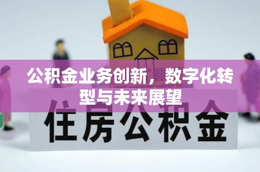 宁河公积金业务创新，数字化转型与未来展望