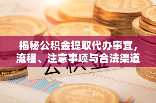 宁河揭秘公积金提取代办事宜，流程、注意事项与合法渠道