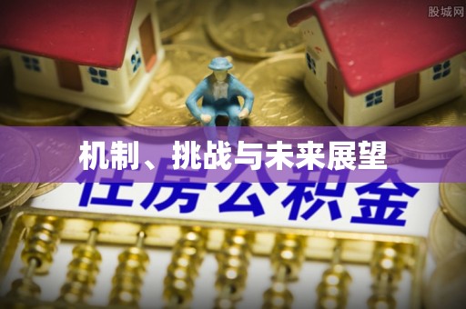 宁河机制、挑战与未来展望